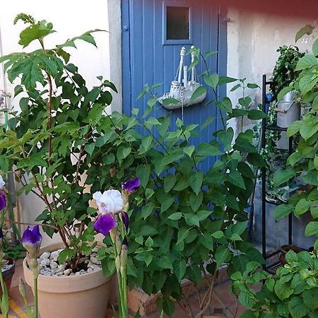 La Maison De St Victor Bed & Breakfast Saint-Victor-de-Malcap Luaran gambar