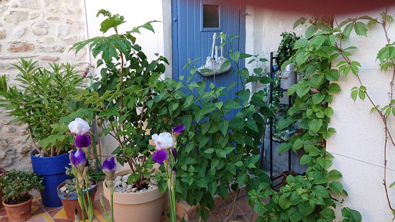La Maison De St Victor Bed & Breakfast Saint-Victor-de-Malcap Luaran gambar